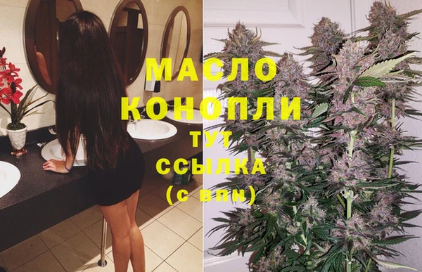 гашик Анива